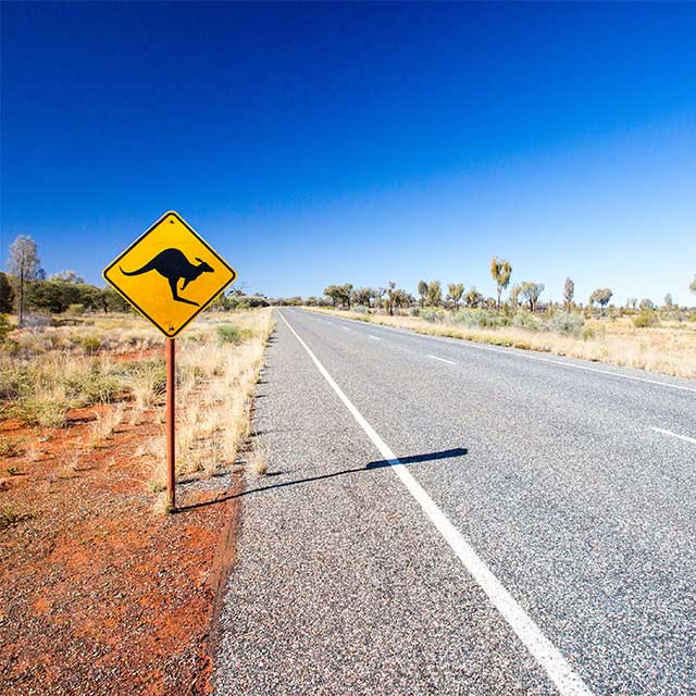 Road Trip delivering Fragile items & Buying Collections