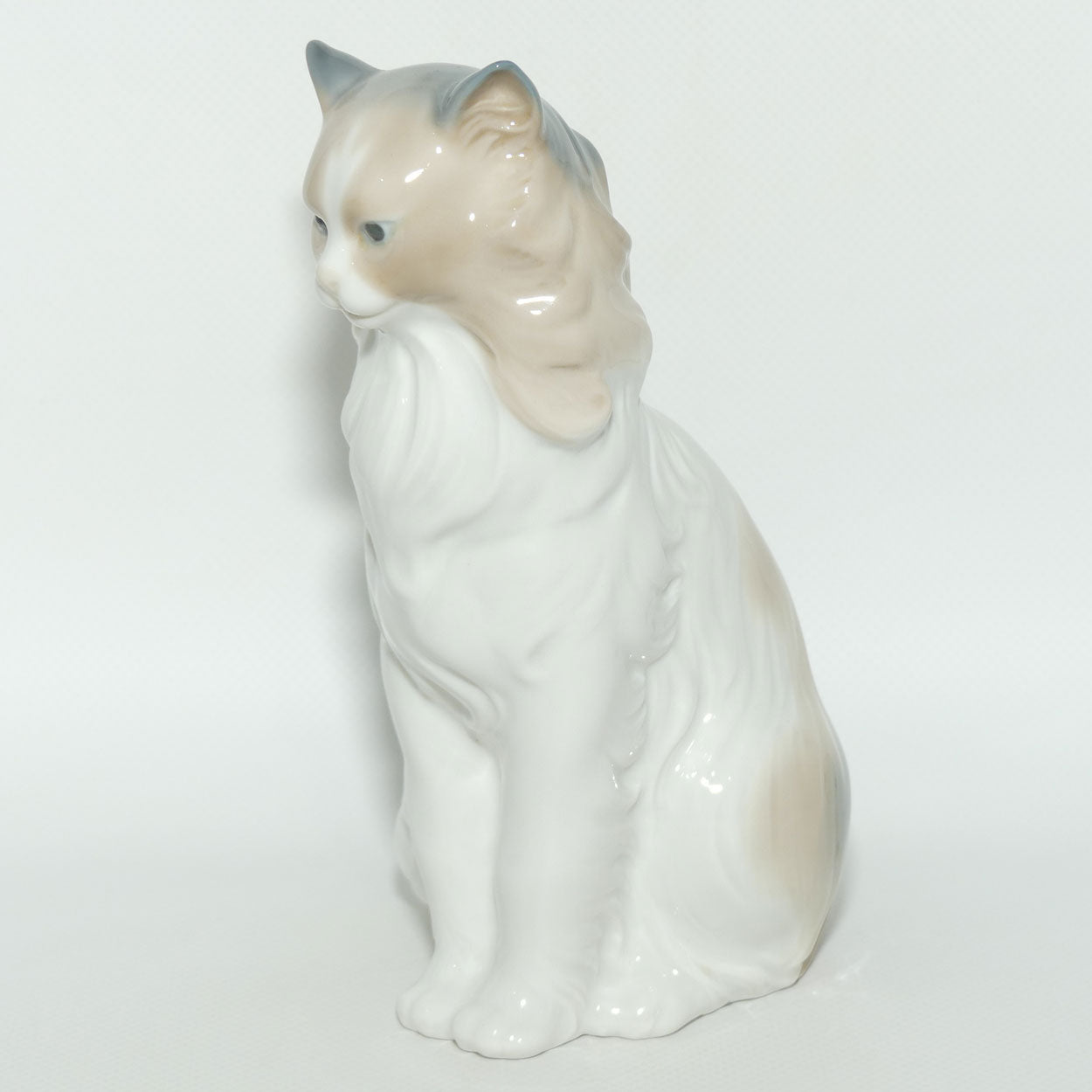Nao figure Proud Cat | Cat Sitting | #0254
