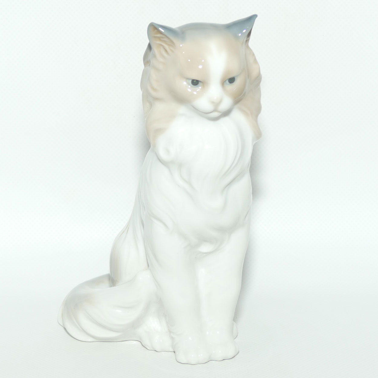 Nao figure Proud Cat | Cat Sitting | #0254