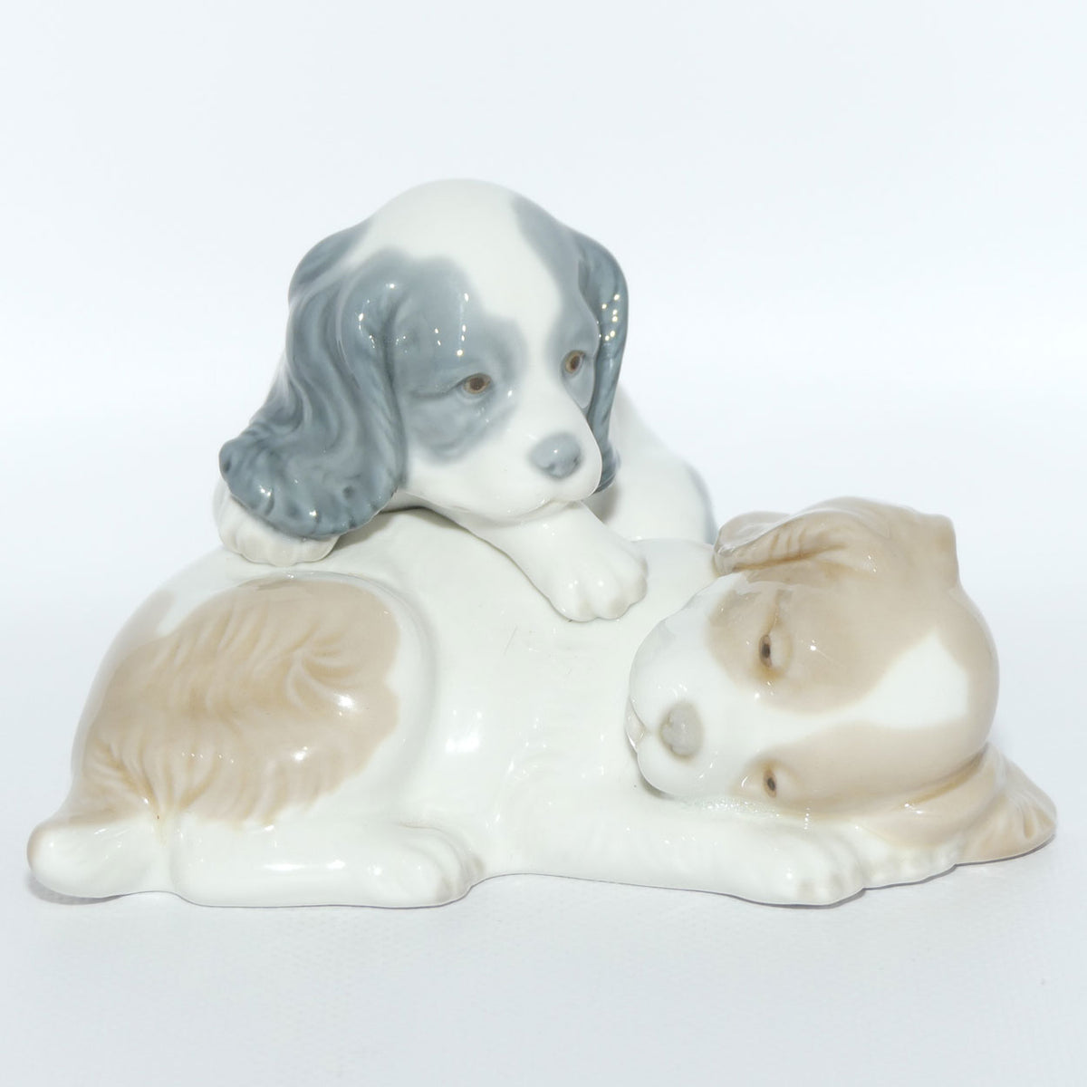 Nao by Lladro figure Wake Up | Two Puppies | #0385