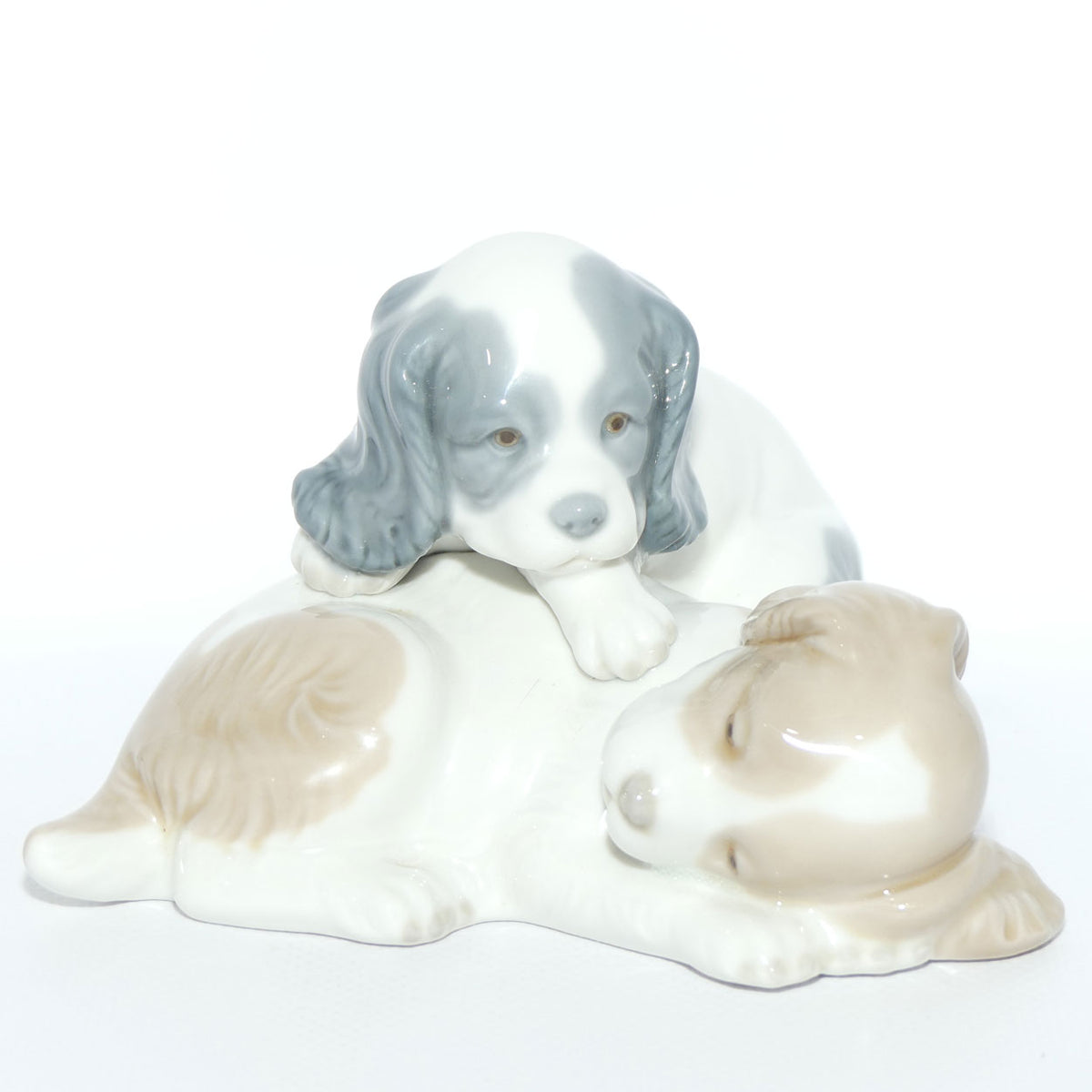 Nao by Lladro figure Wake Up | Two Puppies | #0385
