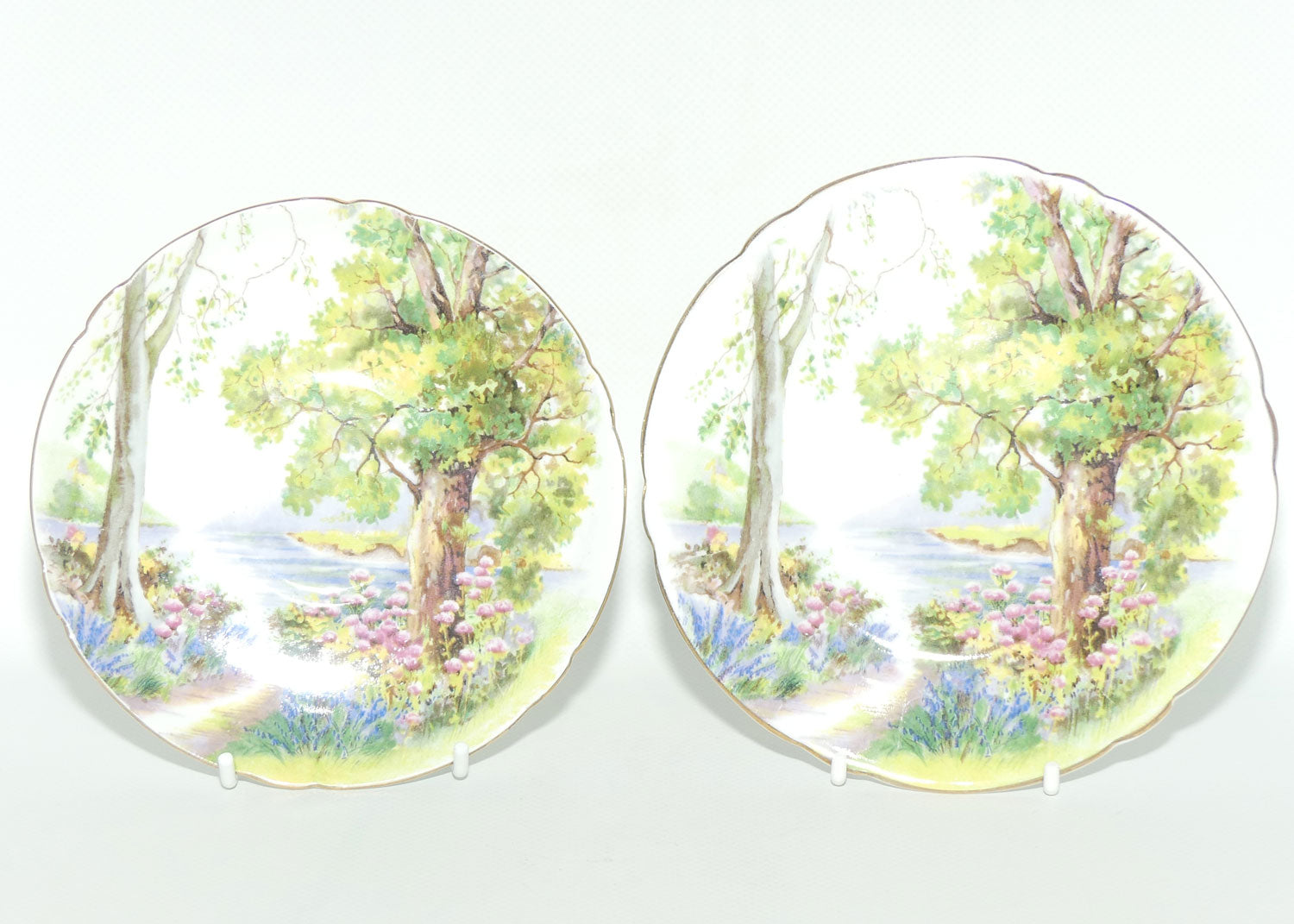 Shelley Richmond shape Woodland pattern trio | Gilt Trim | Round Plate | 13348 | #2
