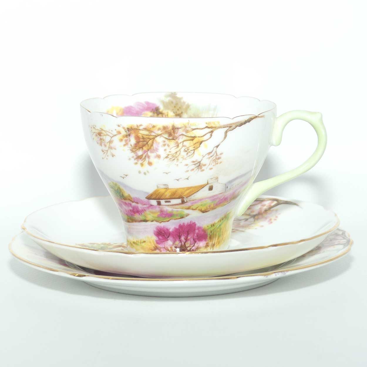 Shelley New Cambridge shape Old Ireland trio | 13657