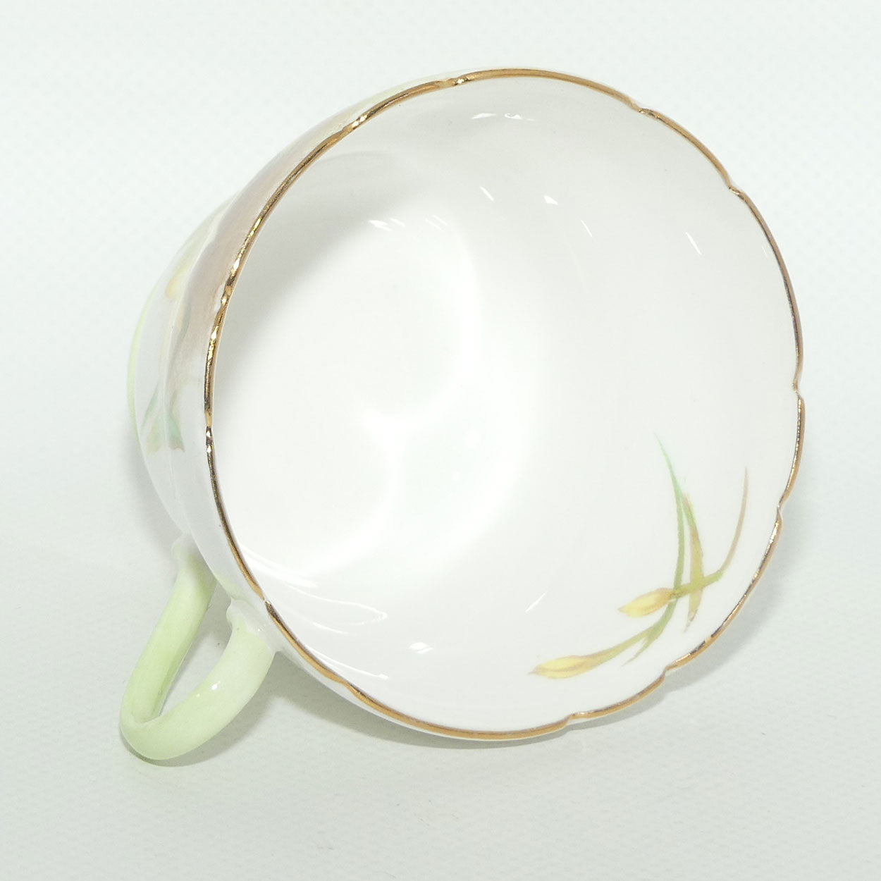 Shelley Richmond shape Daffodil trio | 13677