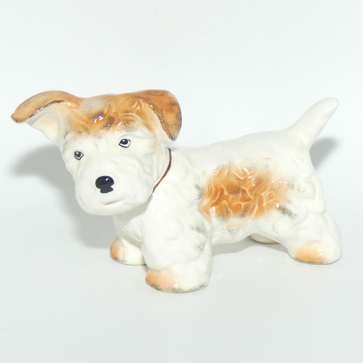 SylvaC #1379 | Dog | Terrier