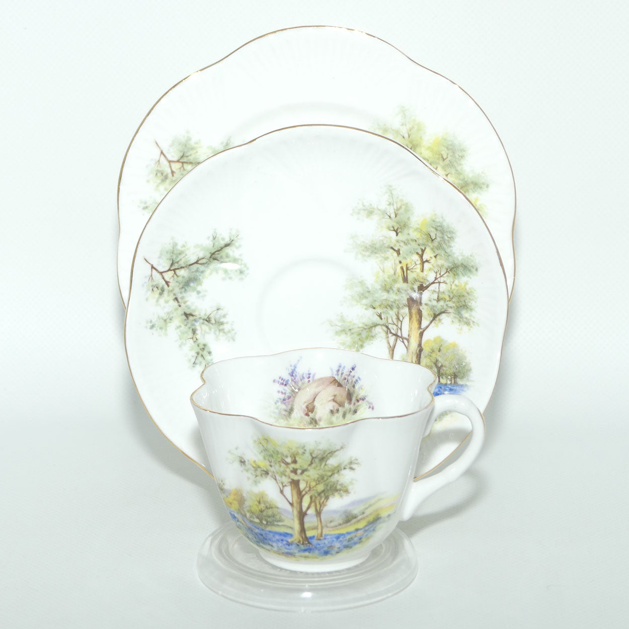 Shelley Dainty shape Bluebell Wood trio | 14286