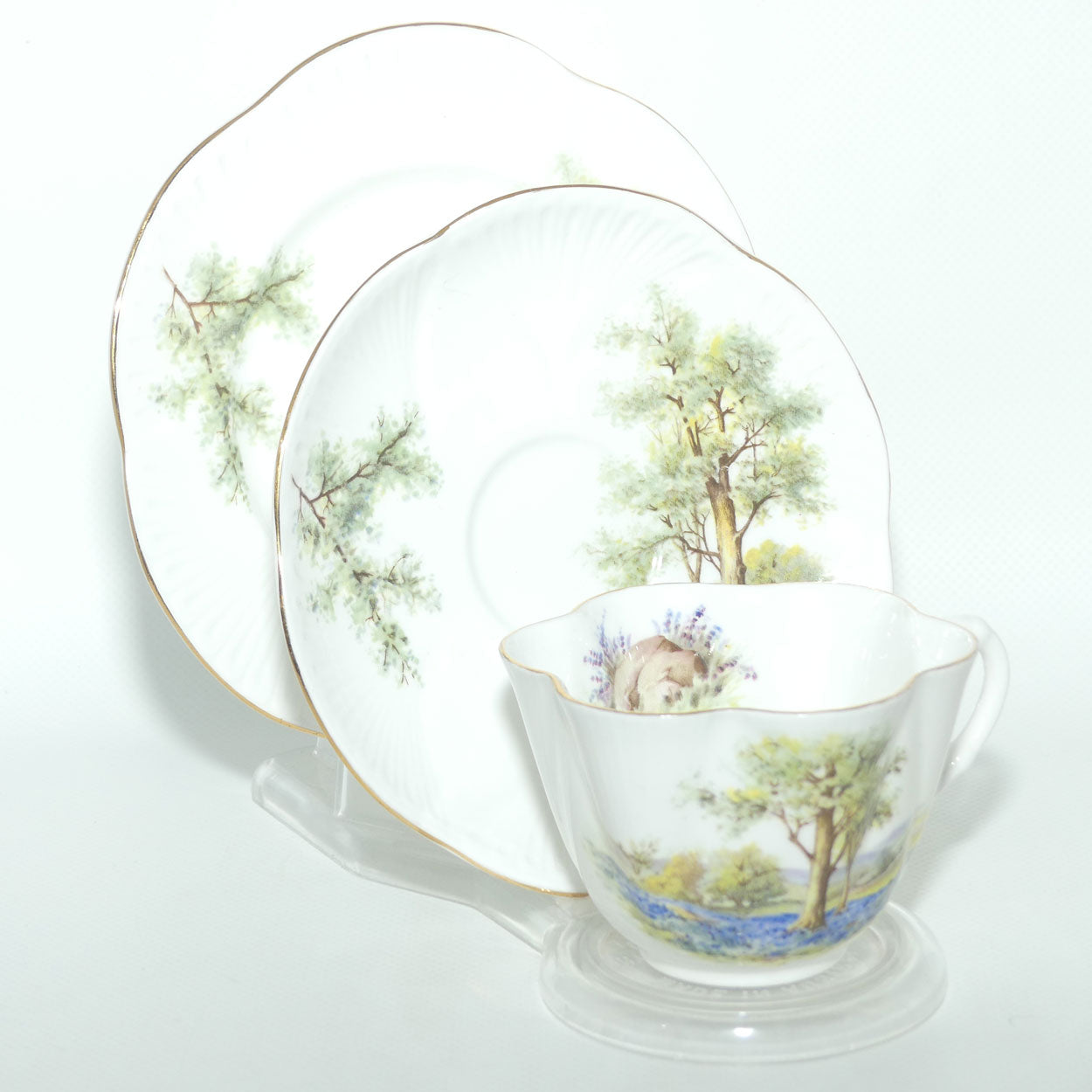 Shelley Dainty shape Bluebell Wood trio | 14286