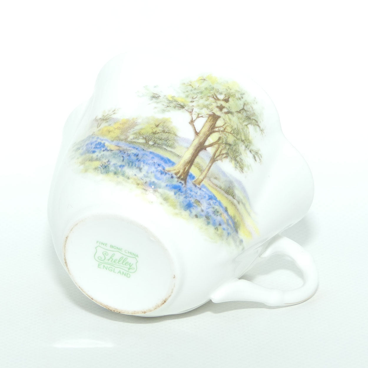 Shelley Dainty shape Bluebell Wood trio | 14286