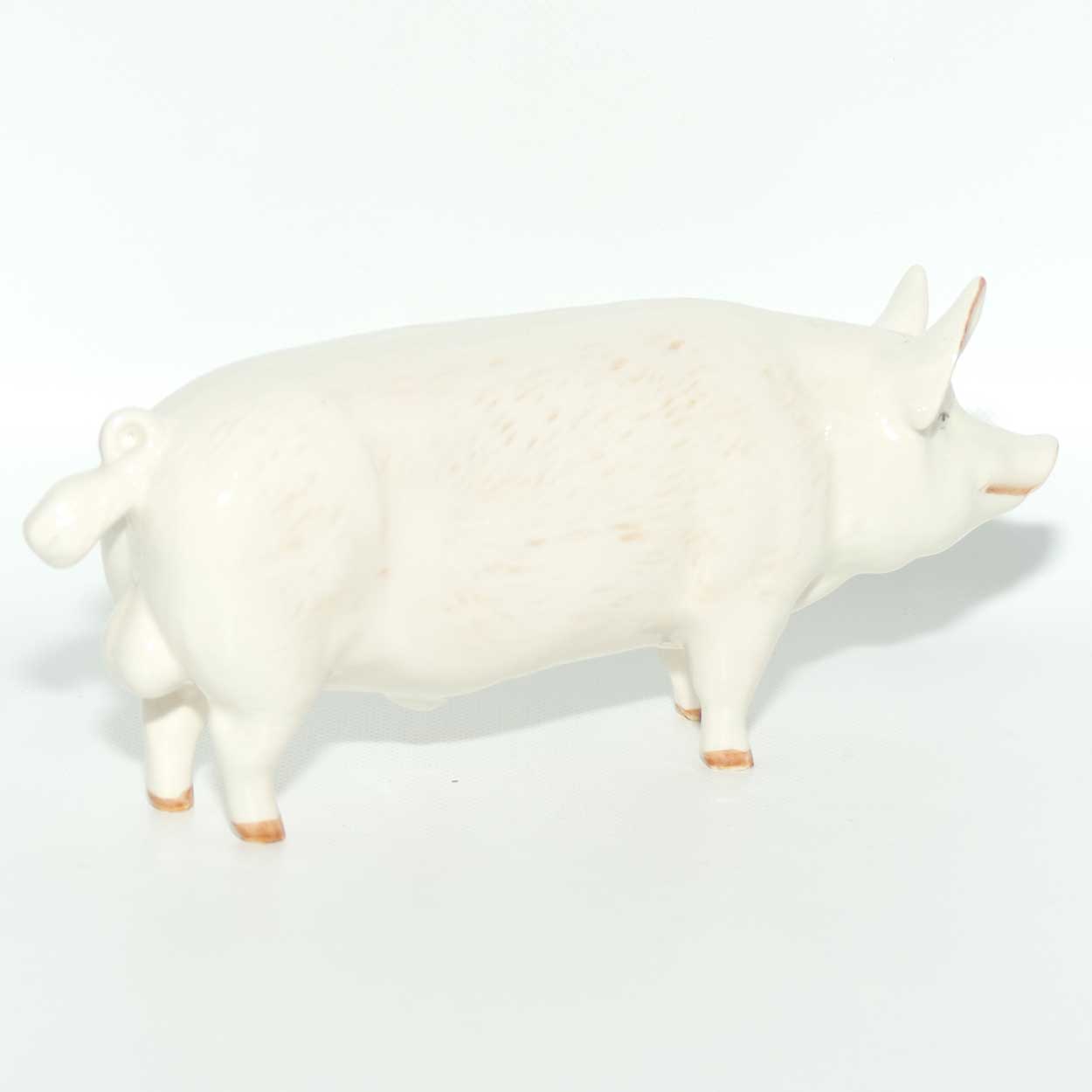 #1453A Beswick Pig | Boar Ch. Wall Champion Boy 53rd