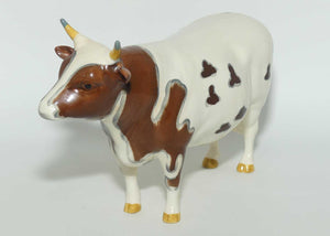 #1454B Beswick Ayrshire Bull | Ch Whitehill Mandate