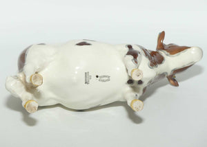 #1454B Beswick Ayrshire Bull | Ch Whitehill Mandate