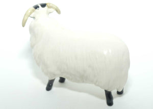 #1765 Beswick Black Faced Sheep