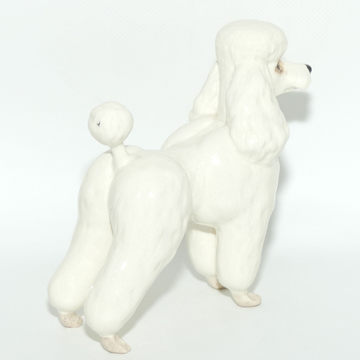 #2339 Poodle | White | Gloss