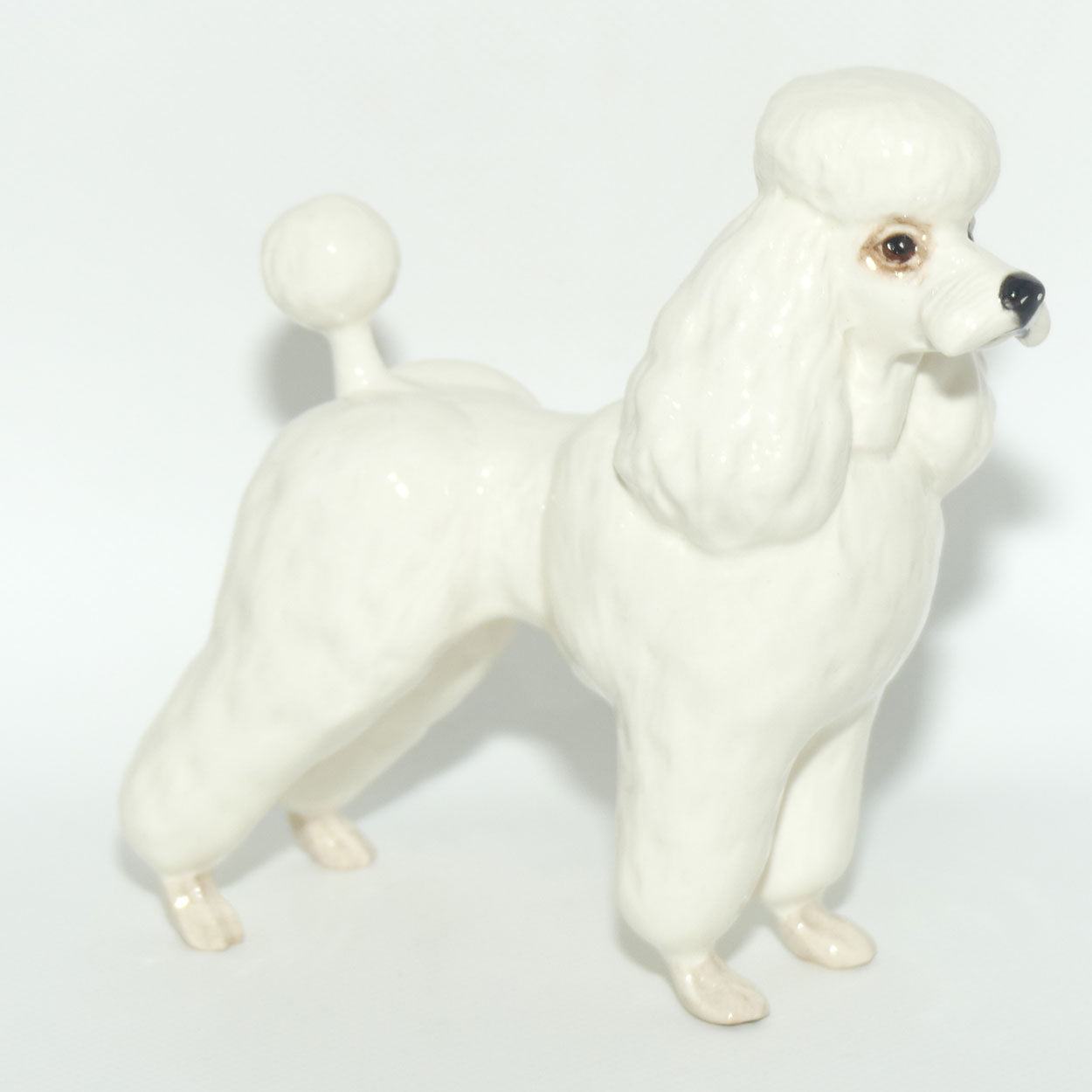 #2339 Poodle | White | Gloss