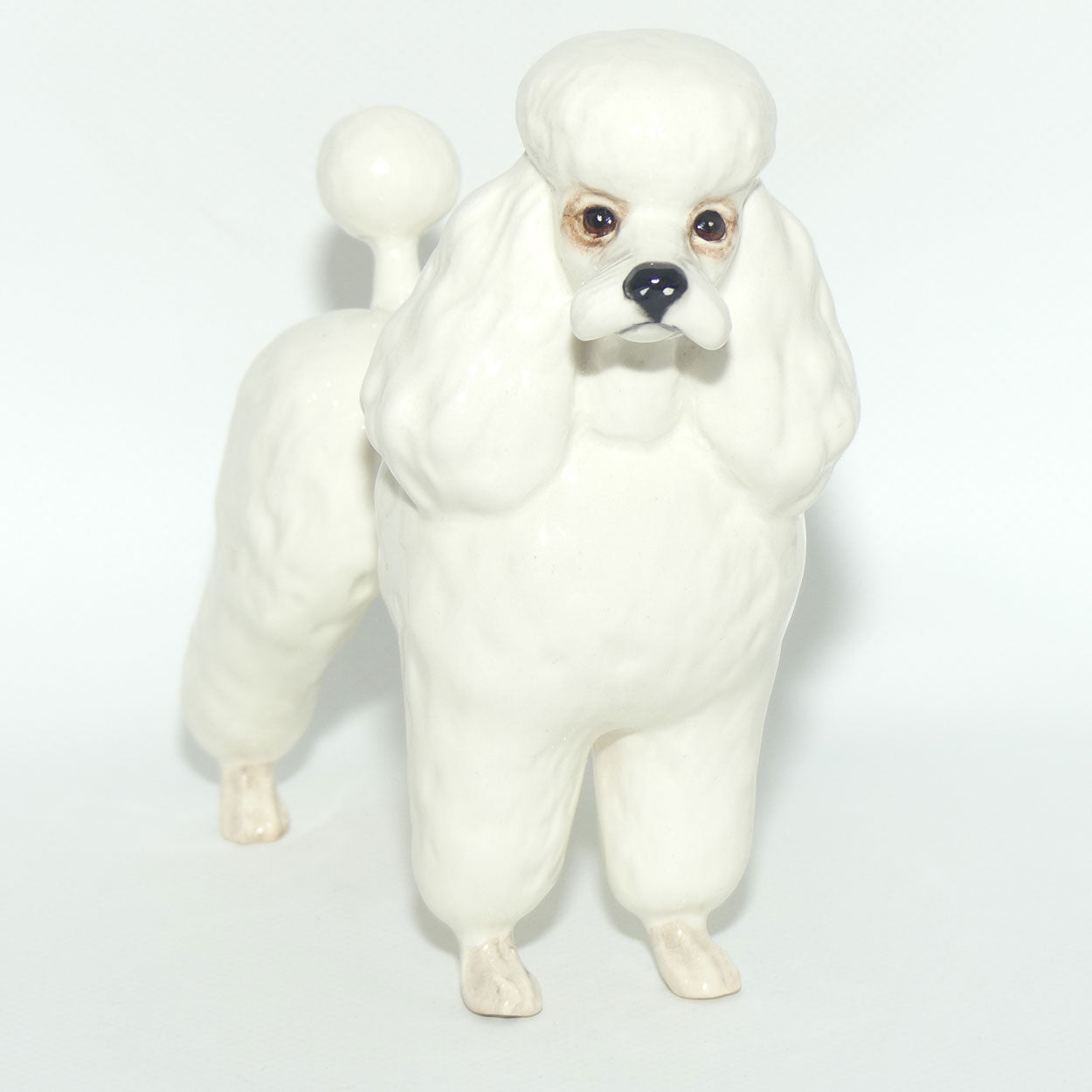 #2339 Poodle | White | Gloss