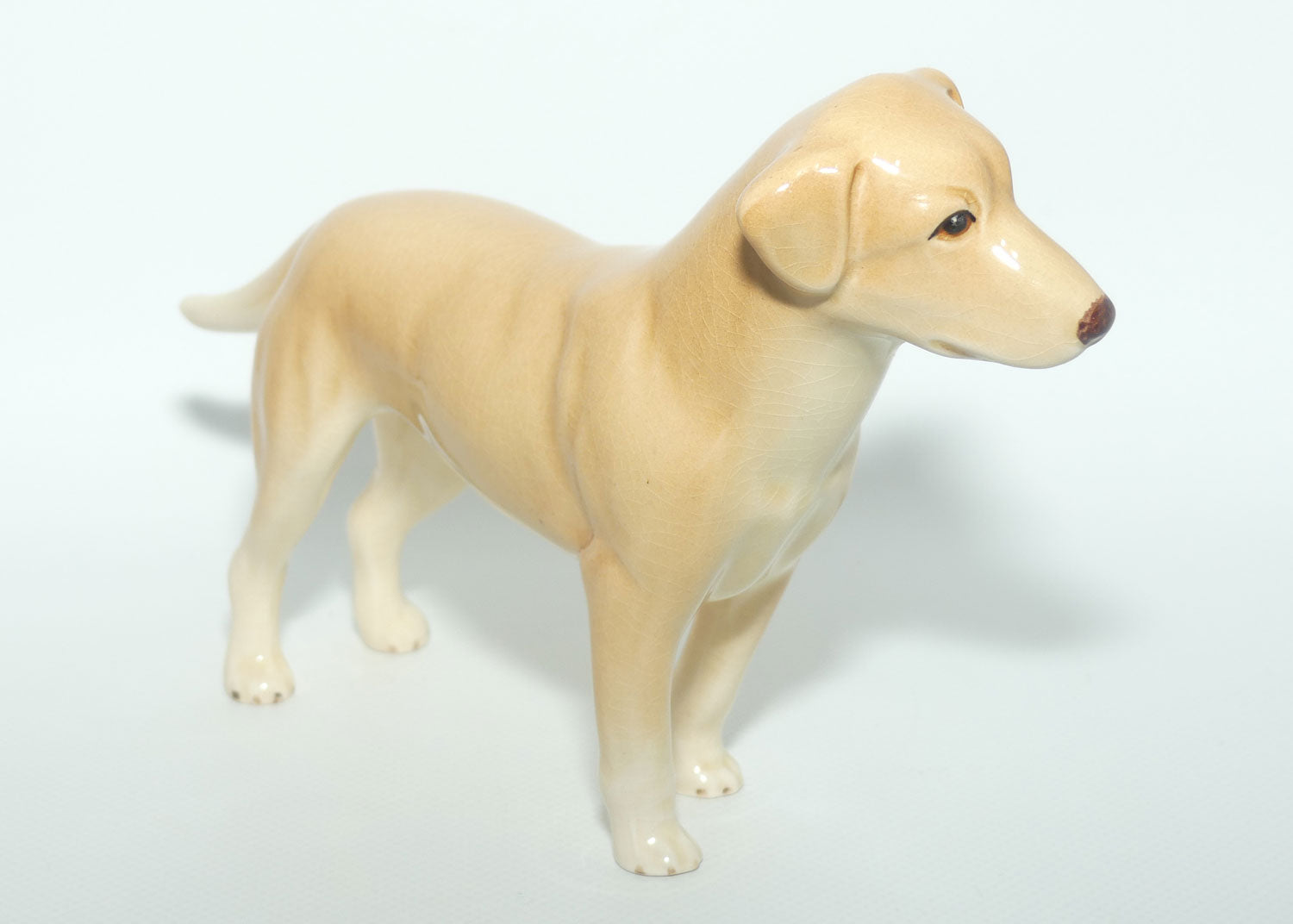 SylvaC #3500 | Dog | Labrador