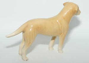SylvaC #3500 | Dog | Labrador
