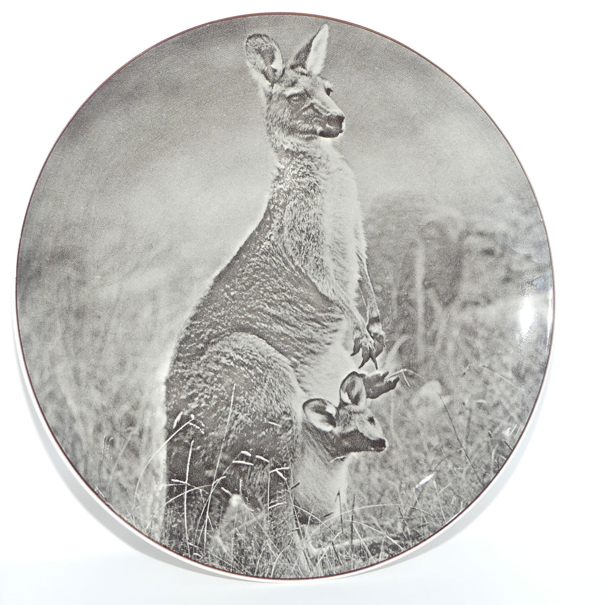 Royal Doulton Australian Views plate #4 | Mother Kangaroo with Joey D6412 | Monochrome