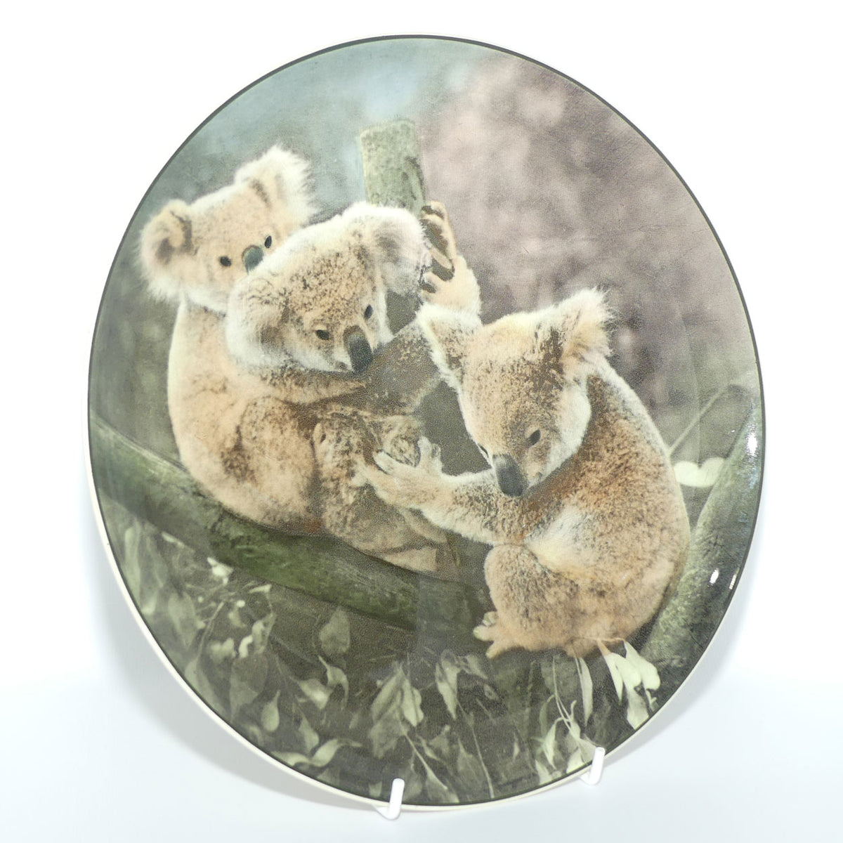 Royal Doulton Australian Views plate #5 | Koala Bears D6424 | #3