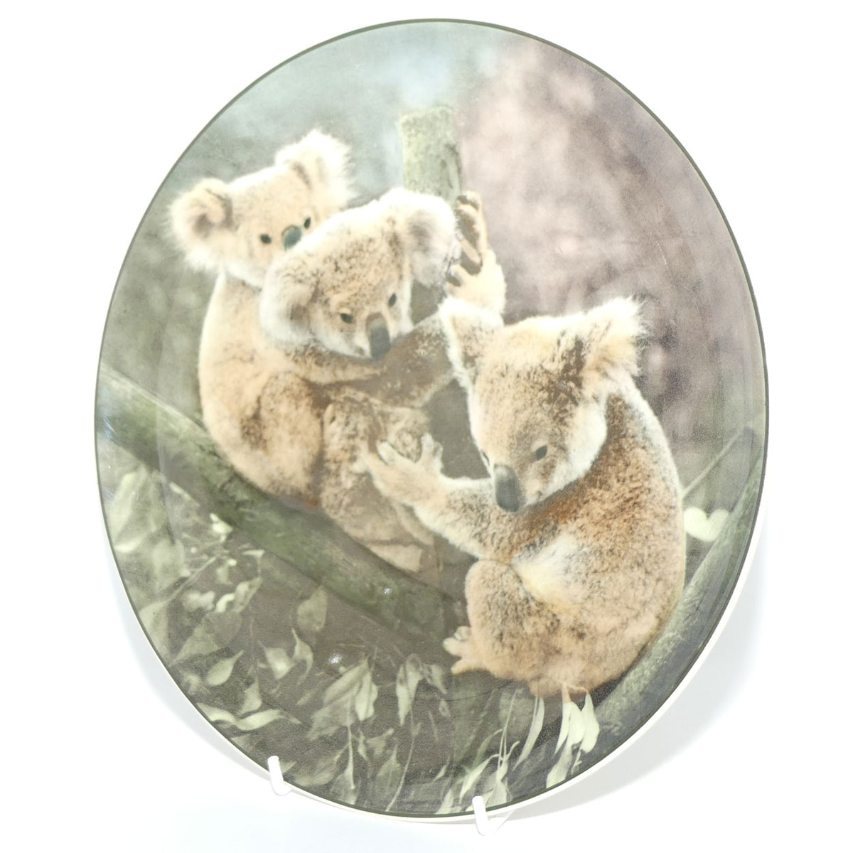 Royal Doulton Australian Views plate #5 | Koala Bears D6424 | #3