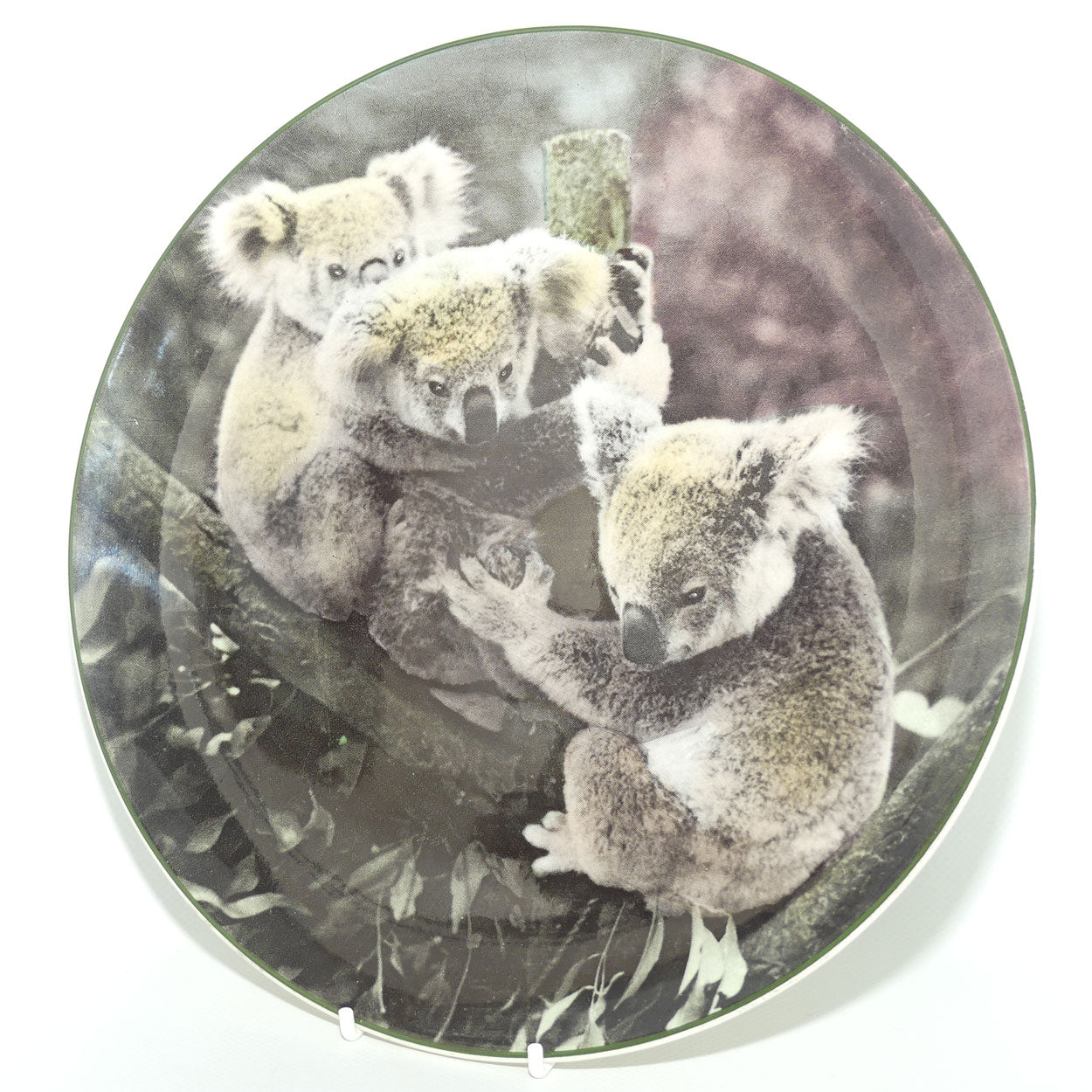 Royal Doulton Australian Views plate #5 | Koala Bears D6424 | #1