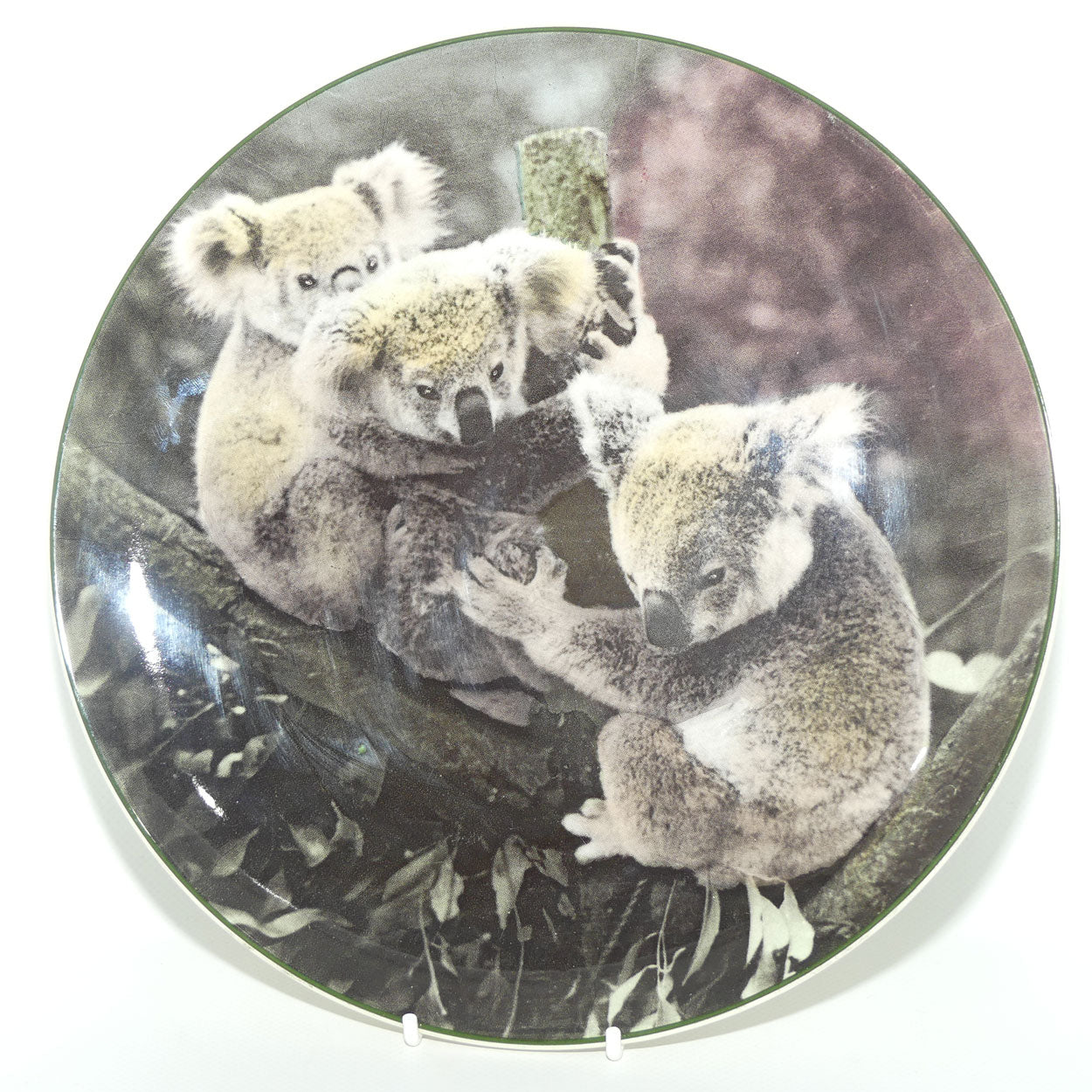 Royal Doulton Australian Views plate #5 | Koala Bears D6424 | #1