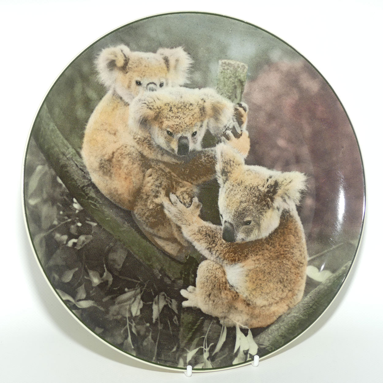 Royal Doulton Australian Views plate #5 | Koala Bears D6424 | #2
