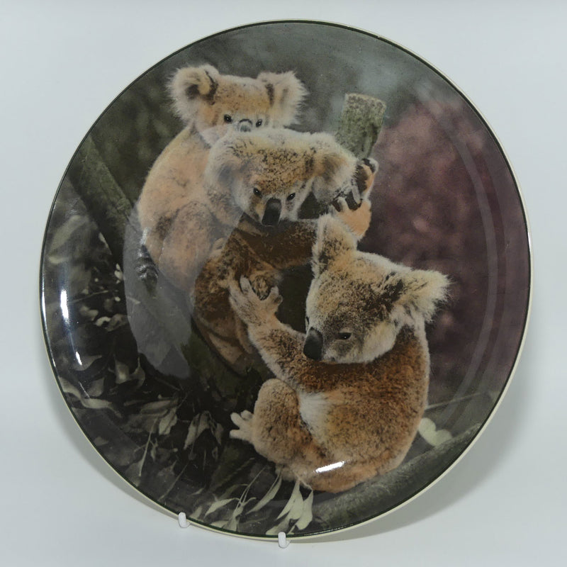 Royal Doulton Australian Views plate #5 | Koala Bears D6424 | #2 ...