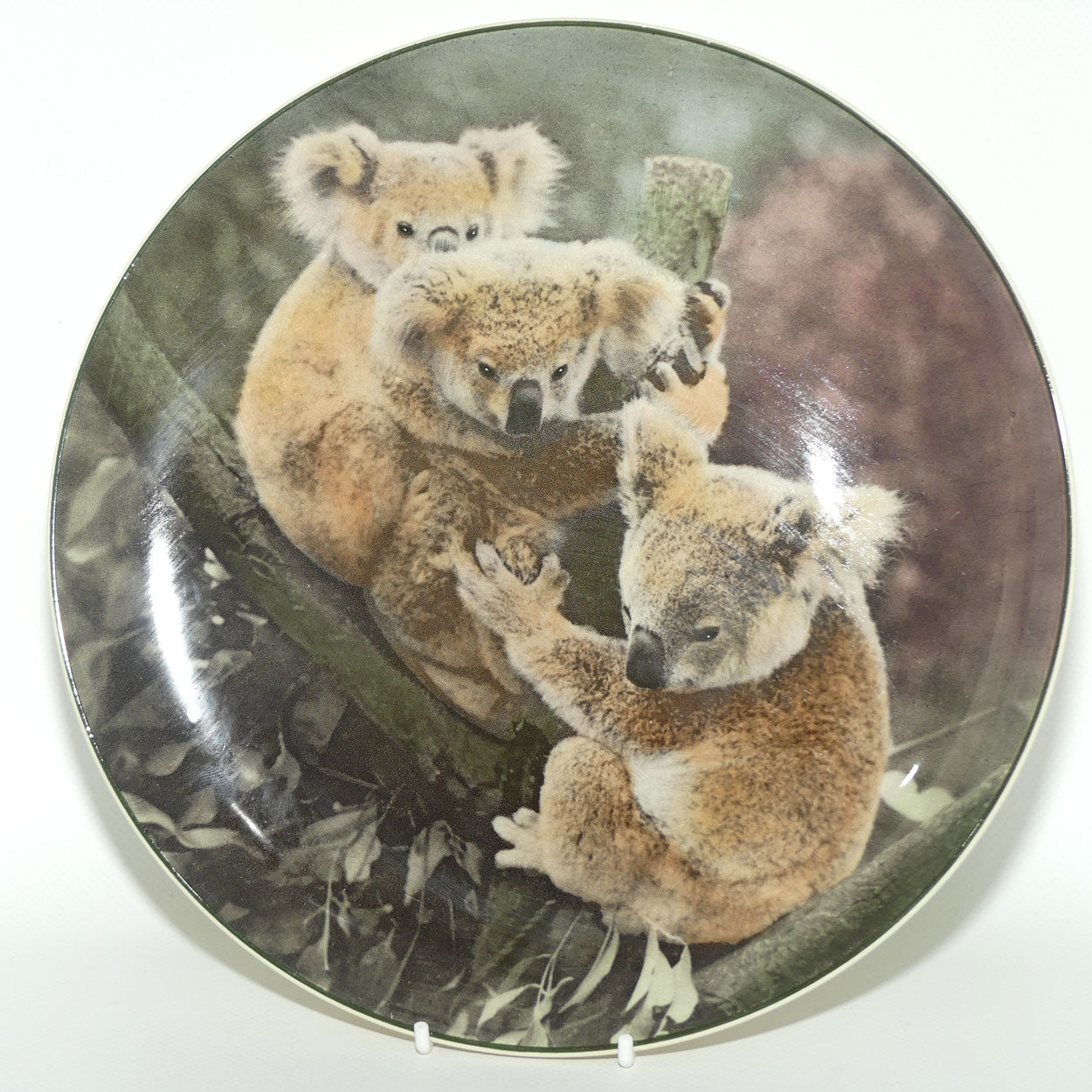 Royal Doulton Australian Views plate #5 | Koala Bears D6424 | #2