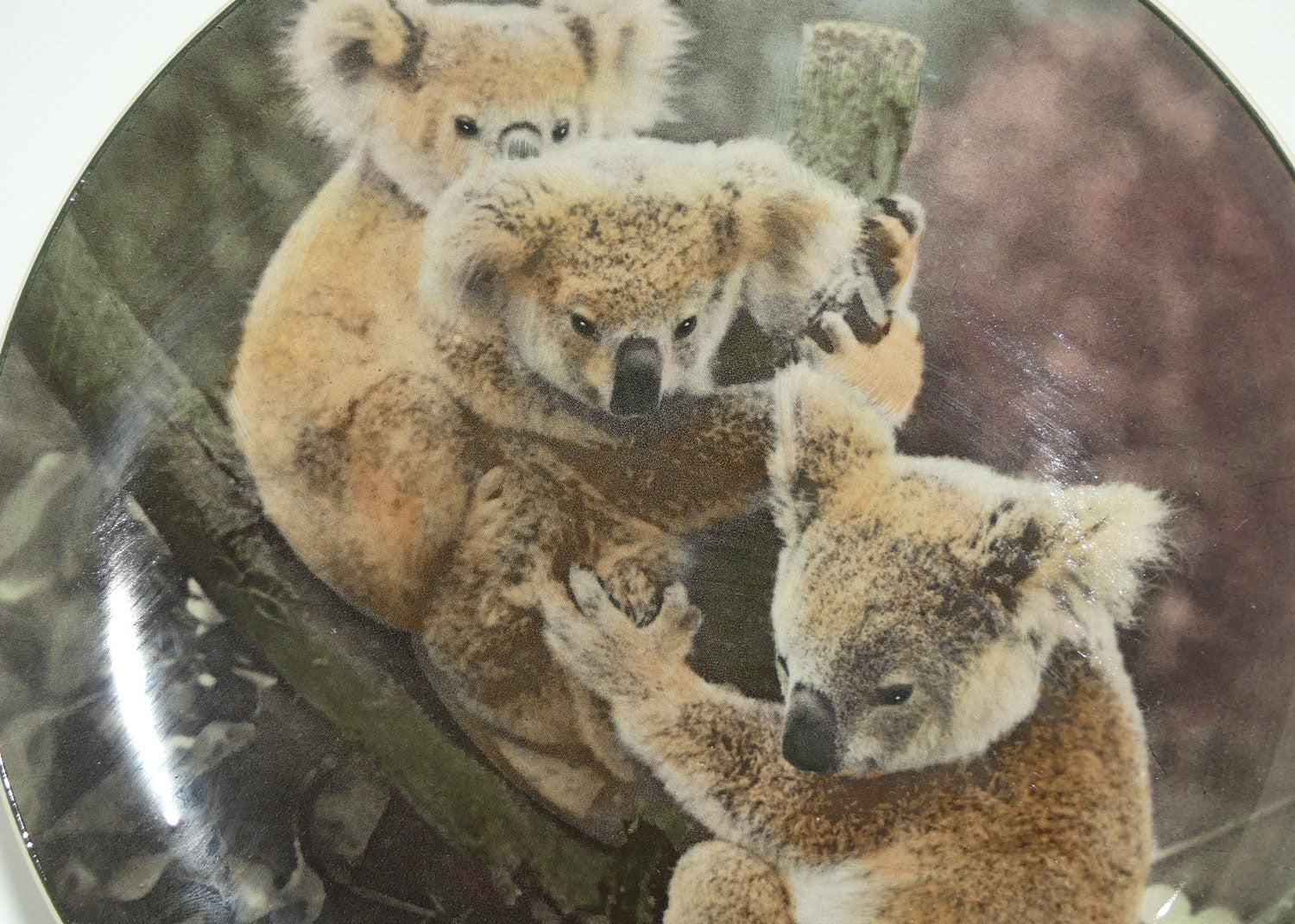 Royal Doulton Australian Views plate #5 | Koala Bears D6424 | #2