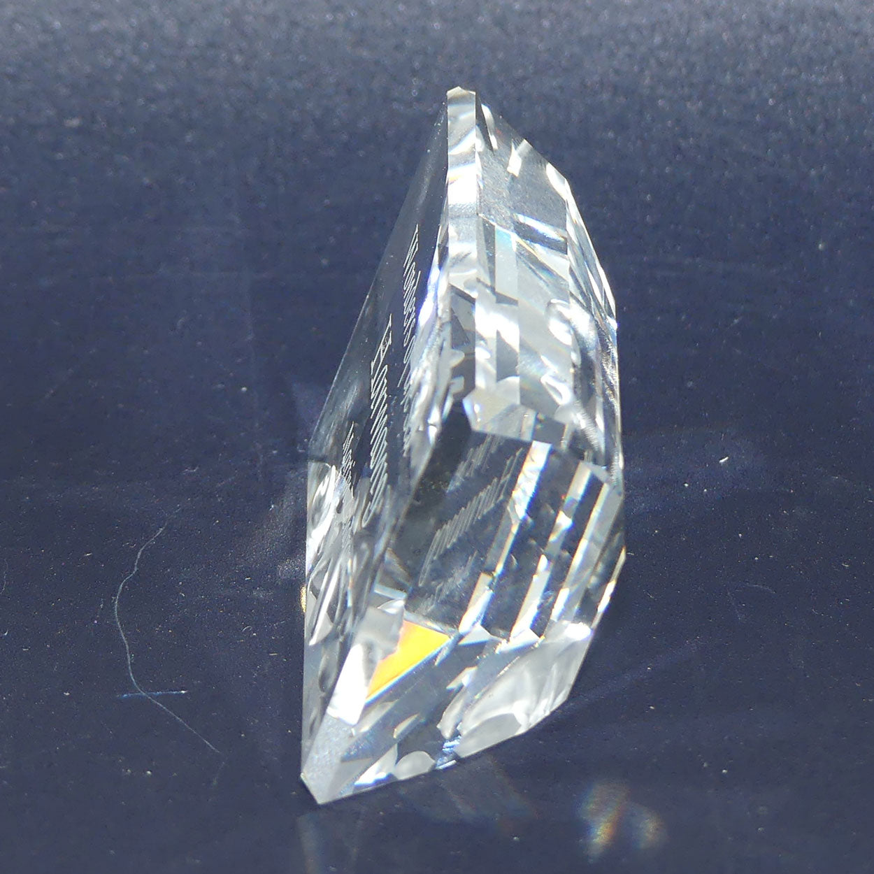 Swarovski Crystal #698560 | Wonders of the Sea display plaque | boxed