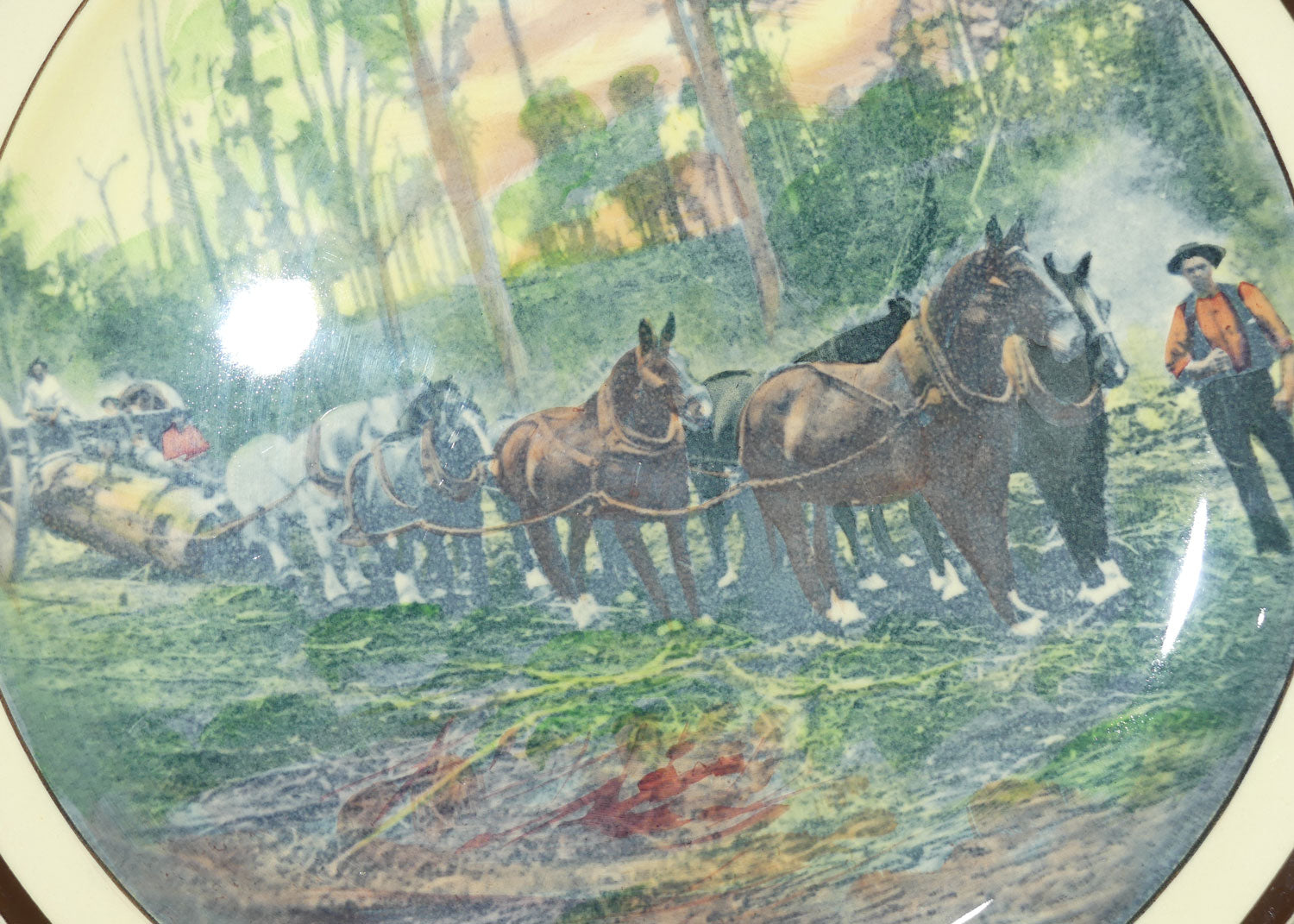 Royal Doulton Australian Scenes | Logging and Farming in NSW | Log Hauling in the South West D5928