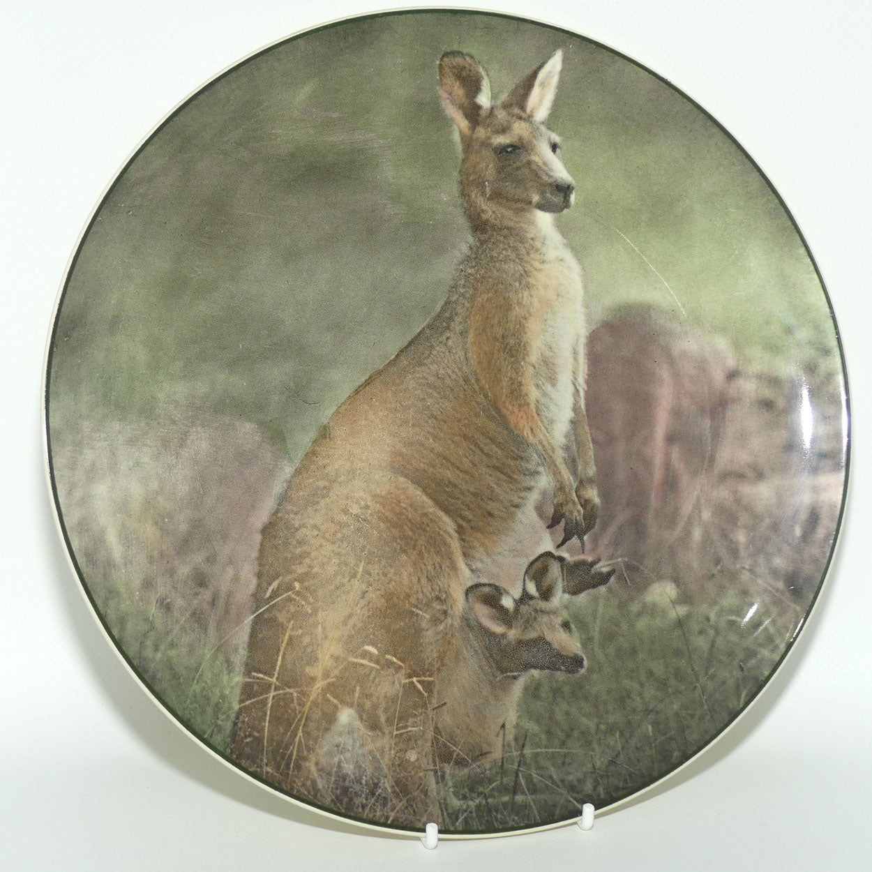 Royal Doulton Australian Views plate #4 | Mother Kangaroo with Joey D6423