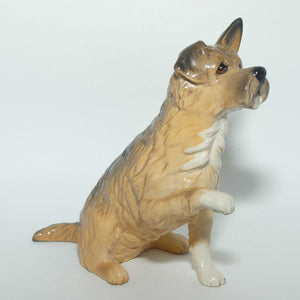 DA196 Royal Doulton Give Me a Home Dog