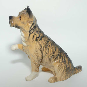 DA196 Royal Doulton Give Me a Home Dog