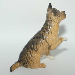 DA196 Royal Doulton Give Me a Home Dog