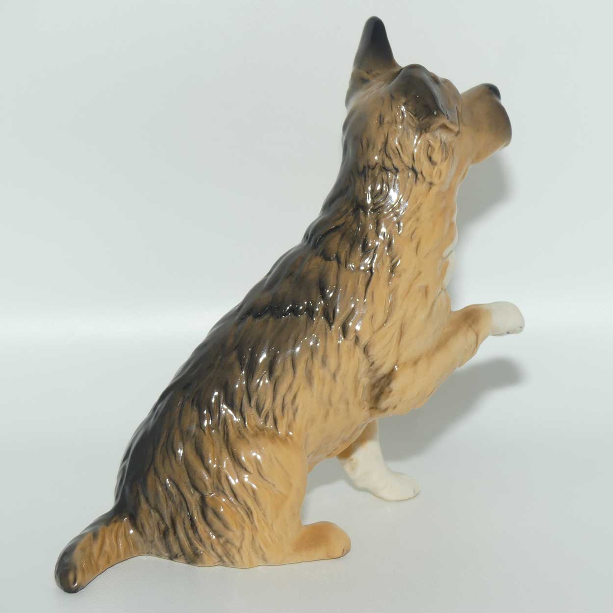 DA196 Royal Doulton Give Me a Home Dog