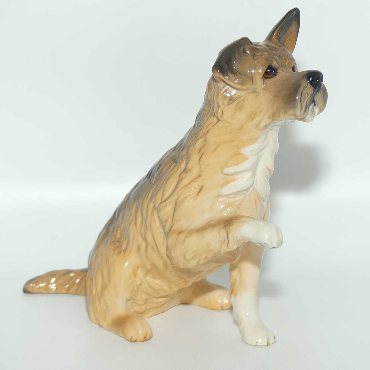 DA196 Royal Doulton Give Me a Home Dog