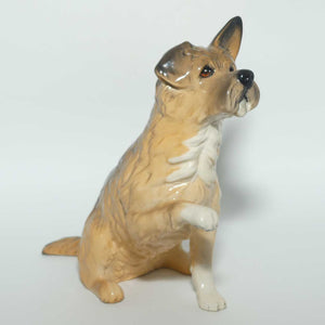 DA196 Royal Doulton Give Me a Home Dog