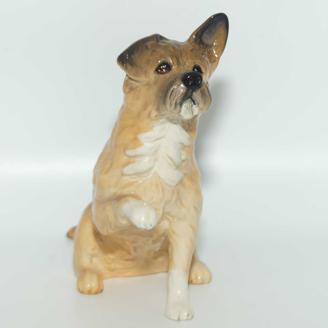 DA196 Royal Doulton Give Me a Home Dog