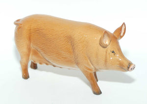 DA215 Royal Doulton Tamworth Pig