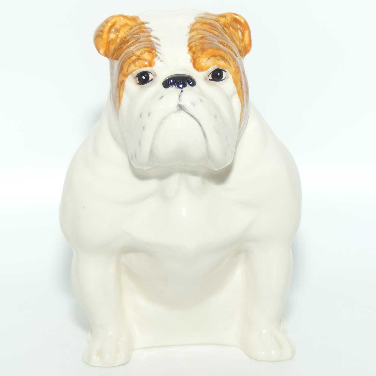 DA222 Royal Doulton Bulldog | Seated | White with Tan