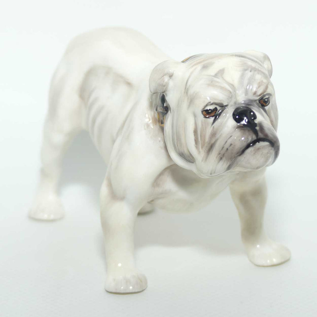 HN1074 Royal Doulton Bulldog | Standing | White