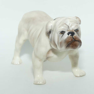 HN1074 Royal Doulton Bulldog | Standing | White