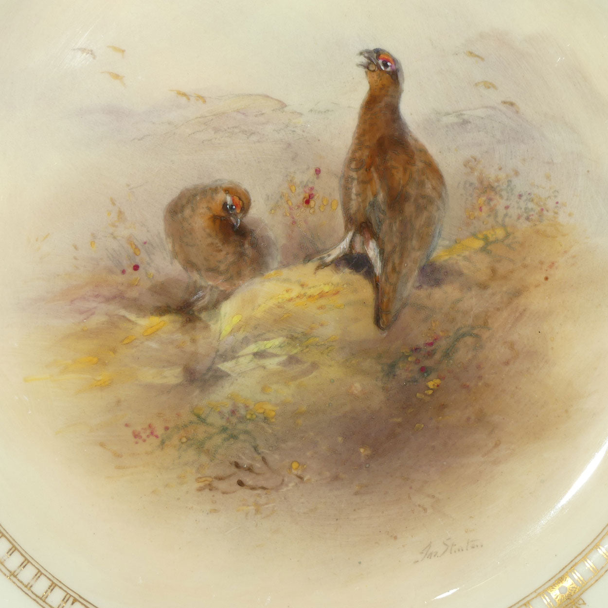 Royal Worcester hand painted Game Birds Red Grouse plate (JAS Stinton)