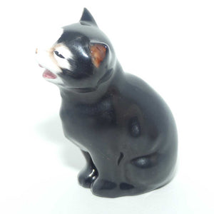 K12 Royal Doulton figure Lucky | Black Cat