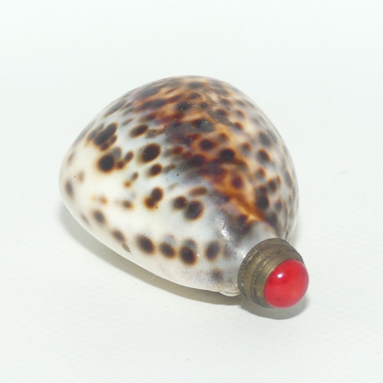 Chinese Snuff bottle | Leopard Cowrie Shell set with Seed Pearls