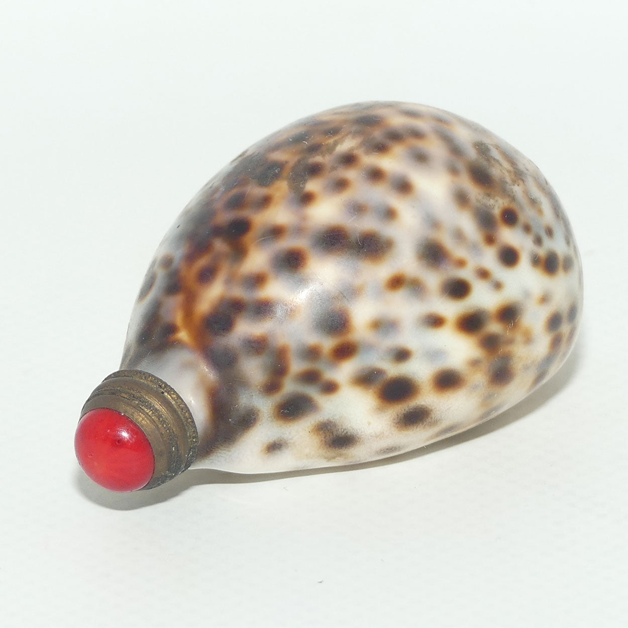 Chinese Snuff bottle | Leopard Cowrie Shell set with Seed Pearls
