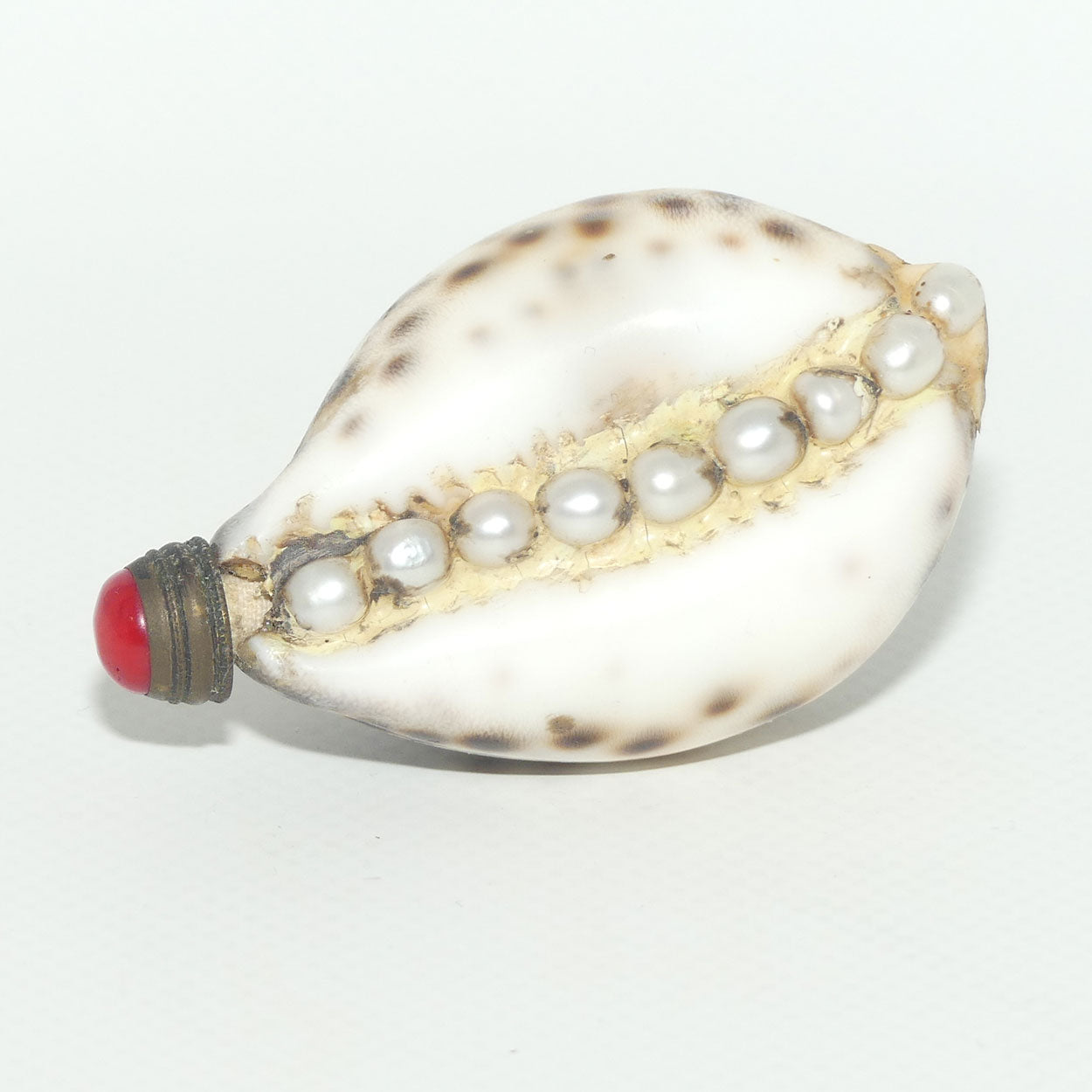 Chinese Snuff bottle | Leopard Cowrie Shell set with Seed Pearls
