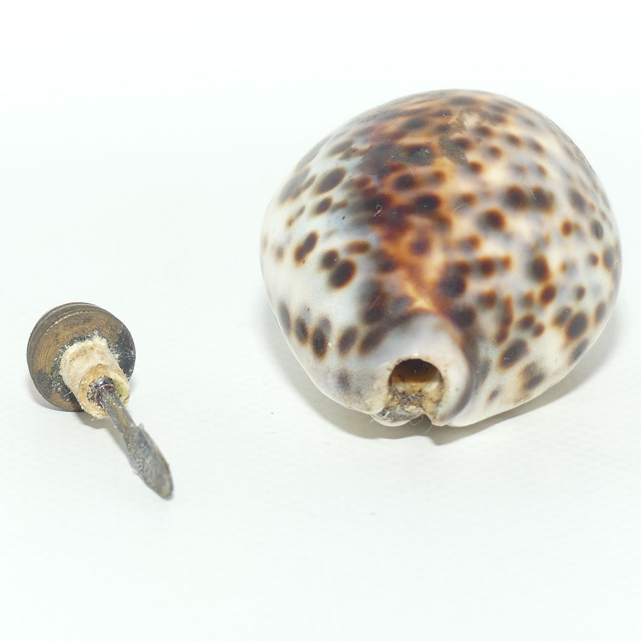 Chinese Snuff bottle | Leopard Cowrie Shell set with Seed Pearls